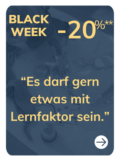 Lernspielzeug